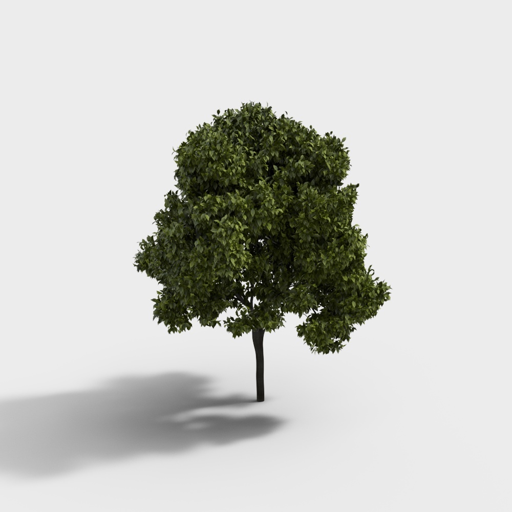 modern green landscape trees