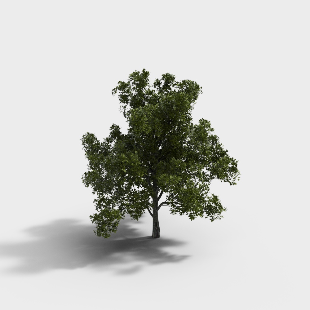 árboles de paisaje verde moderno