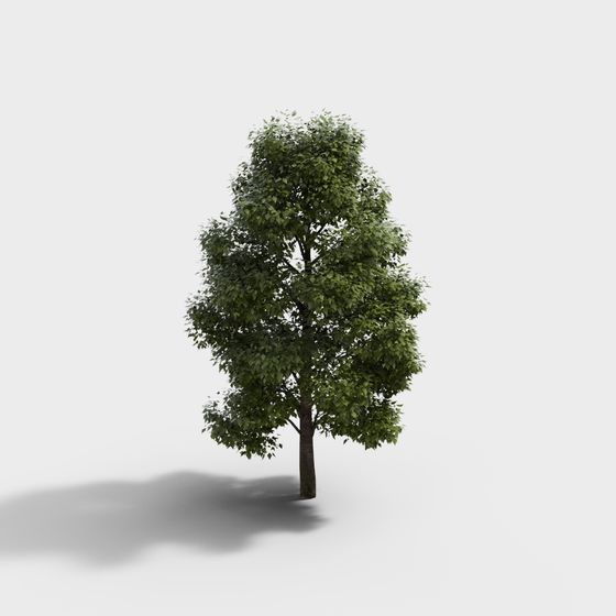 arbres de paysage verts modernes