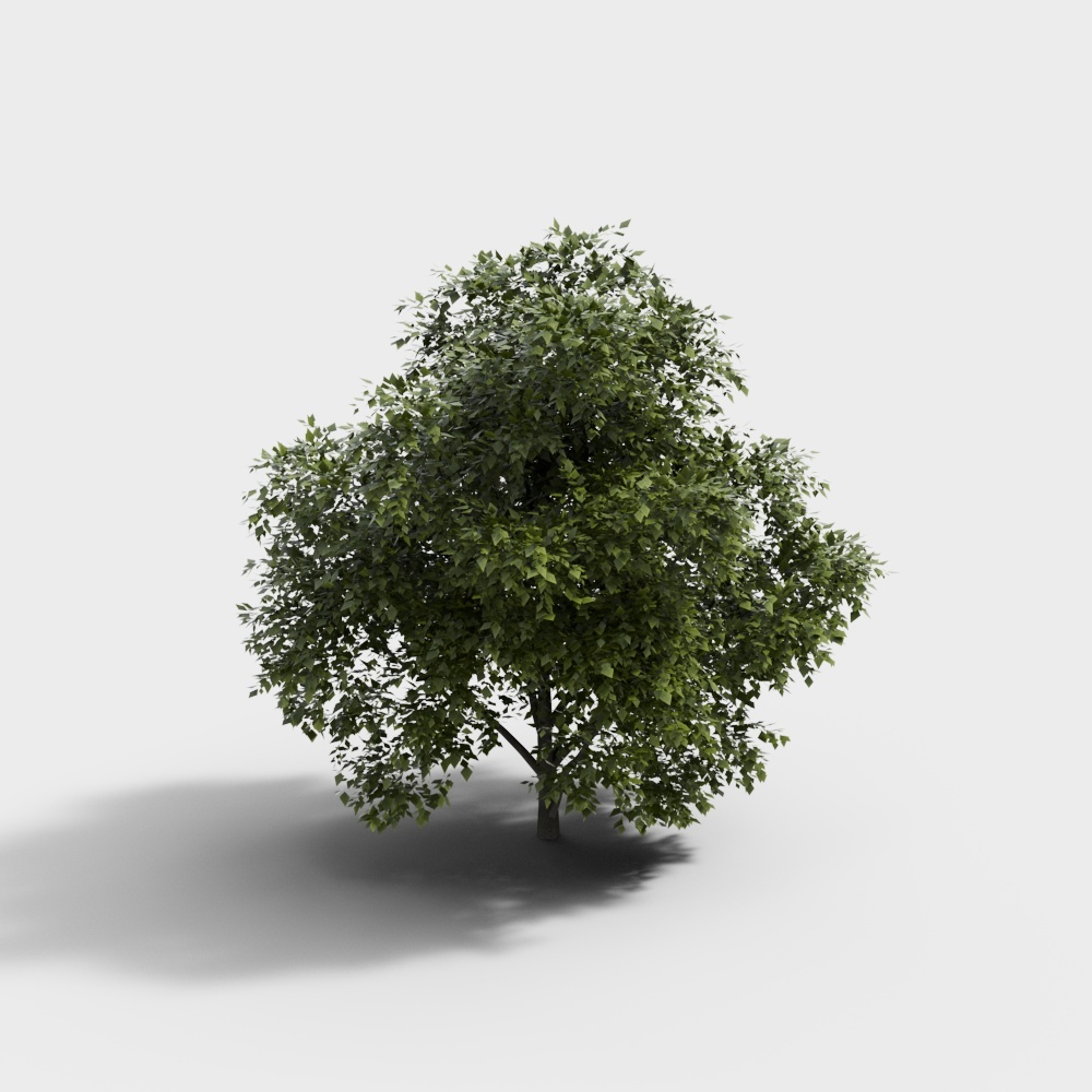 arbres de paysage verts modernes