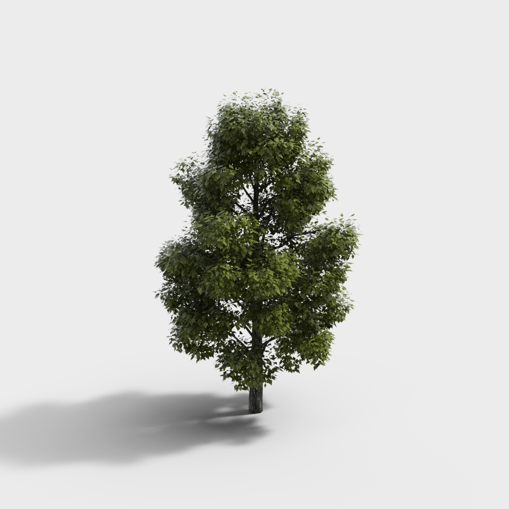 현대식 녹지 풍경 나무