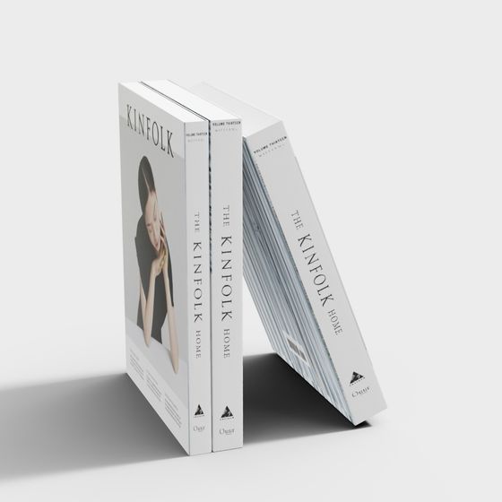 Modern Earth Color Book Rack 3D Model