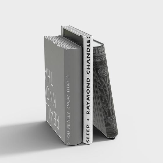 Elegant Low-Poly Bookshelf 3D model