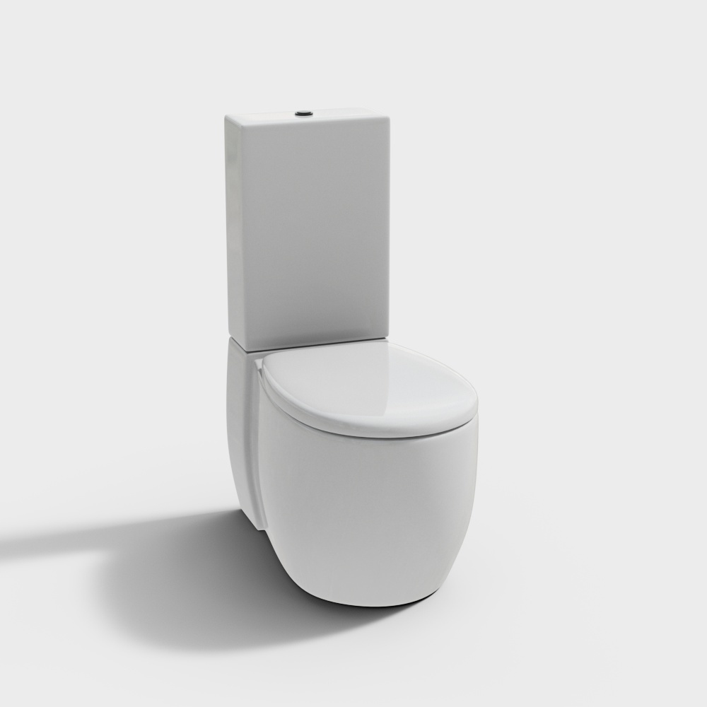 modern toilet