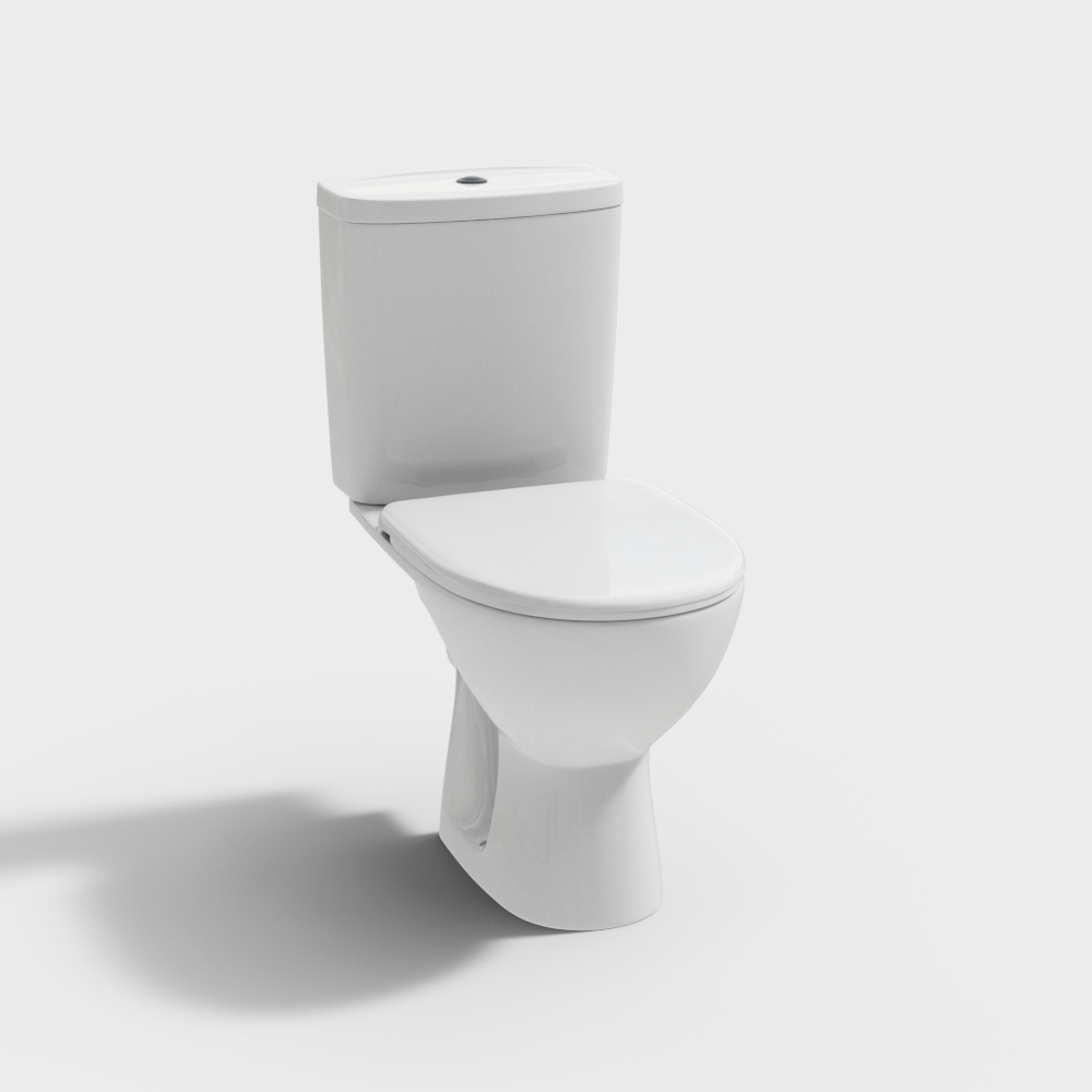 modern toilet