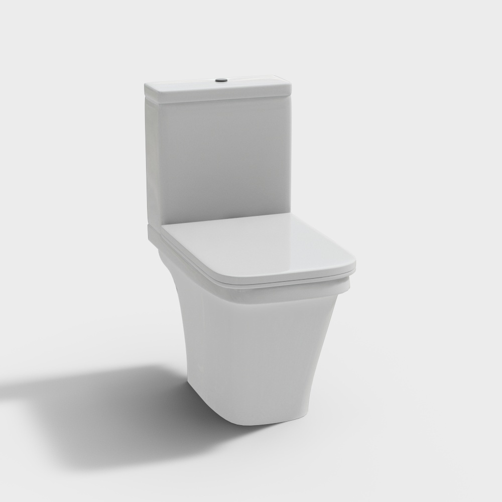 modern toilet