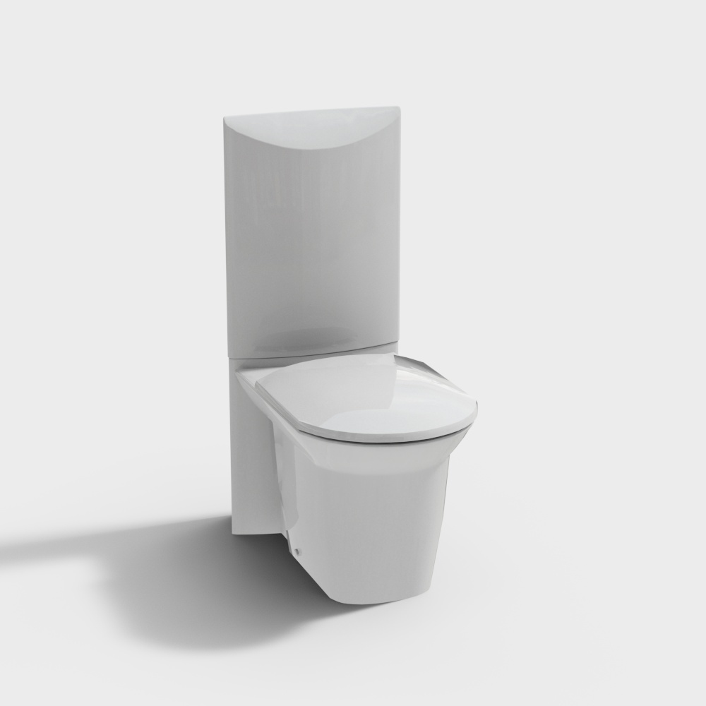 modern toilet