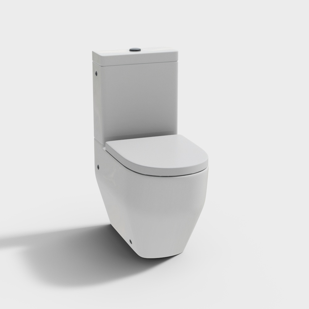 modern toilet