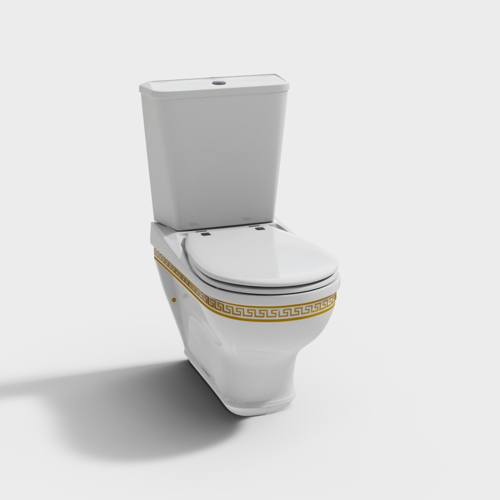 modern toilet