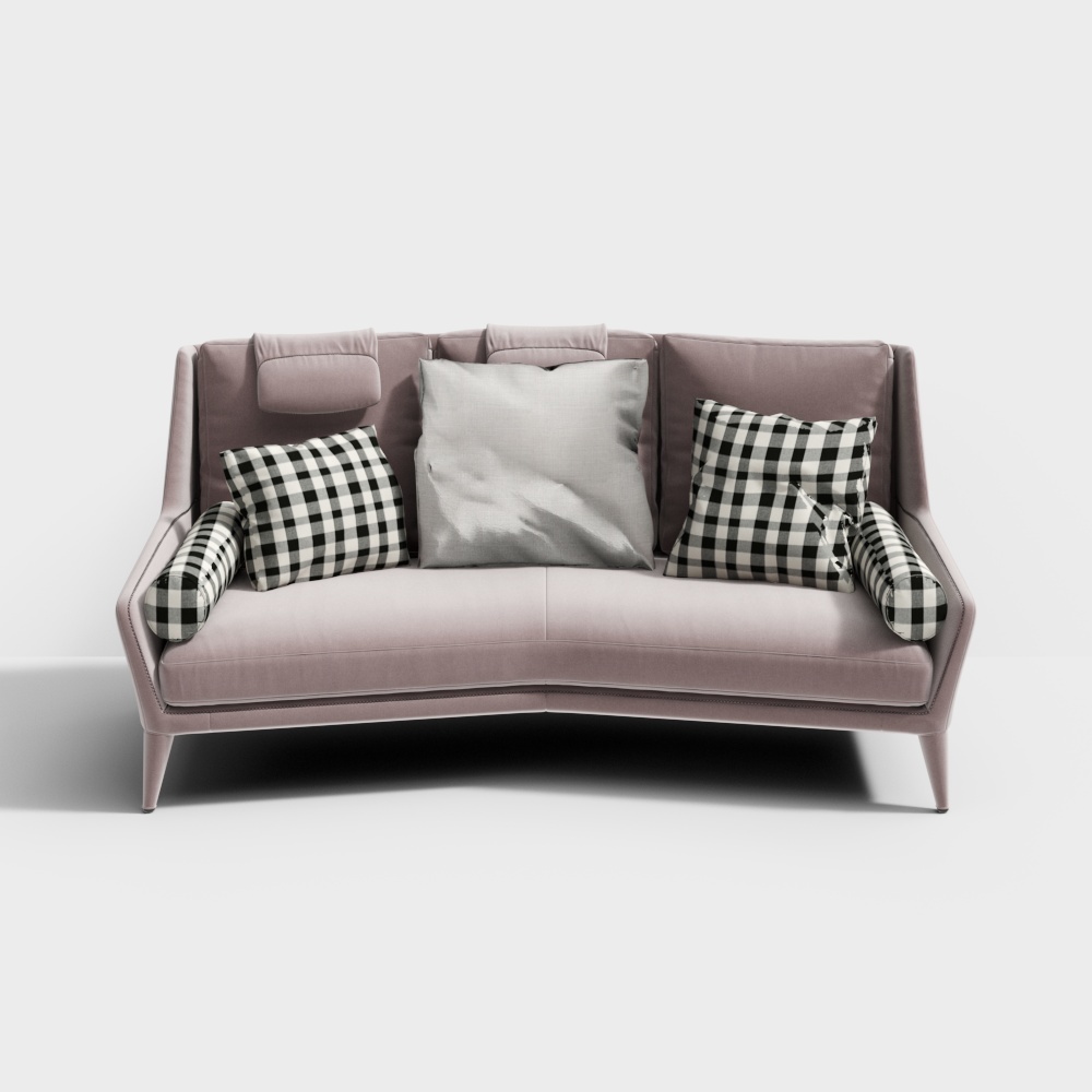 Modern Double Sofa with Beige Pillow