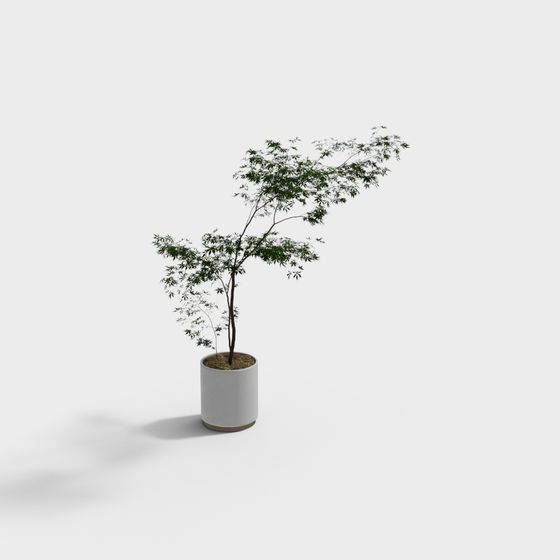 Lively Potted Plant 3D model for Creative Spaces