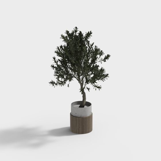 Urban Oasis Potted Plant 3D model for Creative Projects