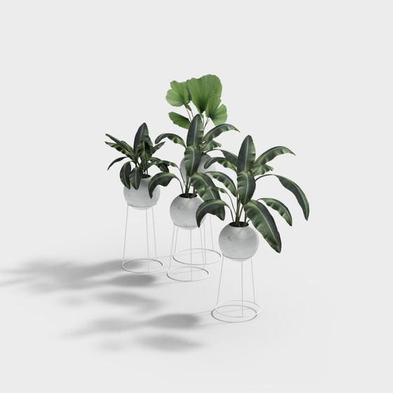 Elegant Tropical Plants 3D model for Creative Projects