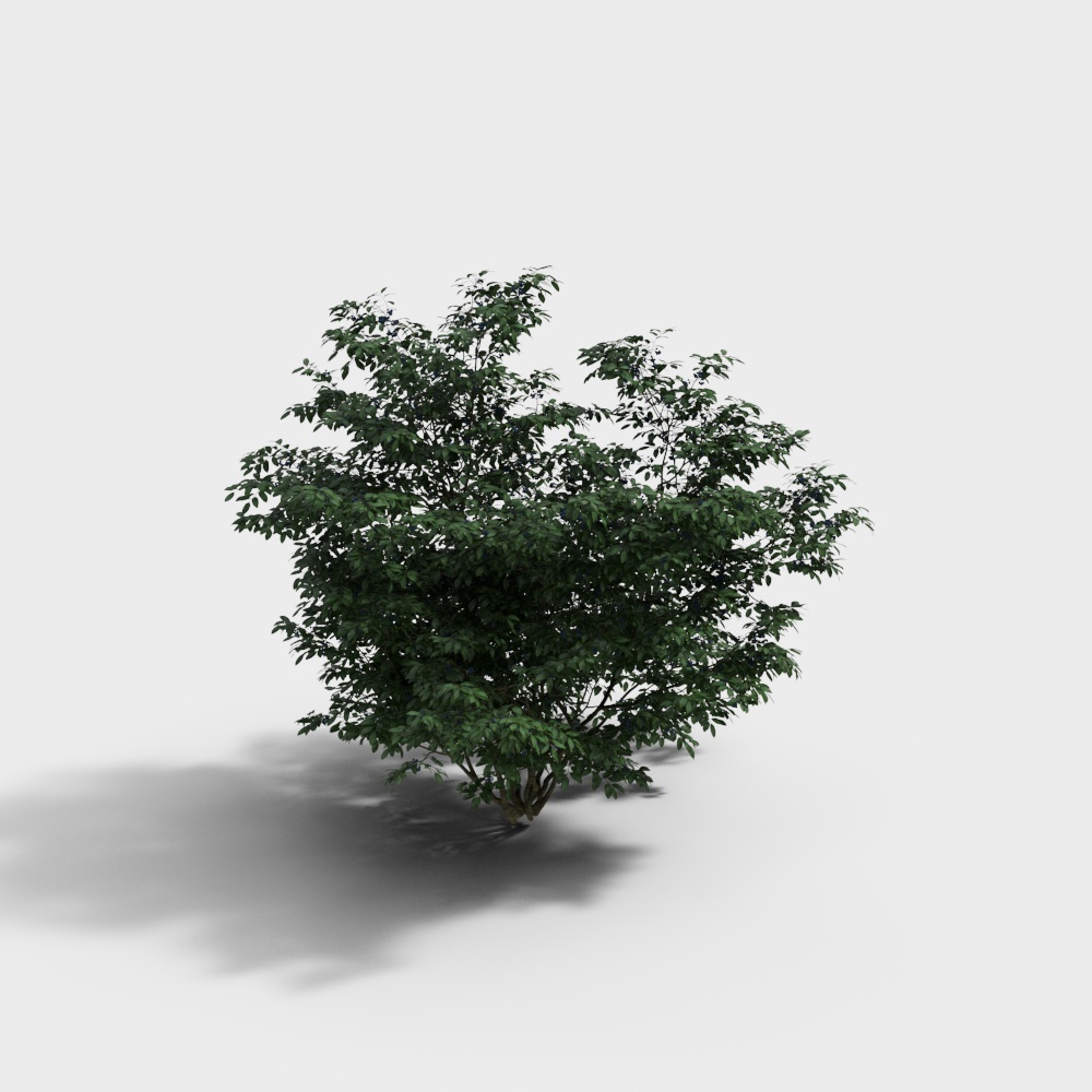 Bộ đồ trang trí bí ngô Halloween