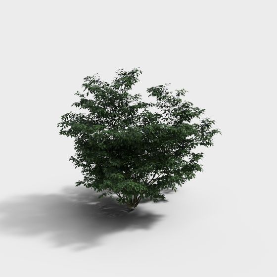 Forest Spirit Low-Poly 3D Model for Creative Projects