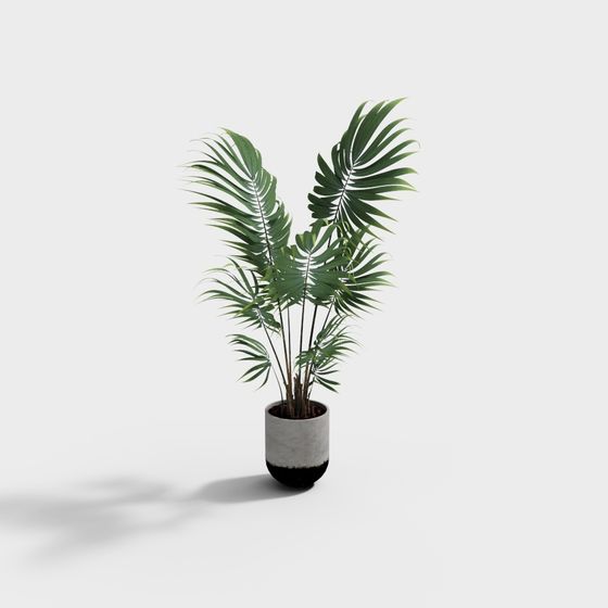 Tropical Plant 3D Model for Designers and Developers