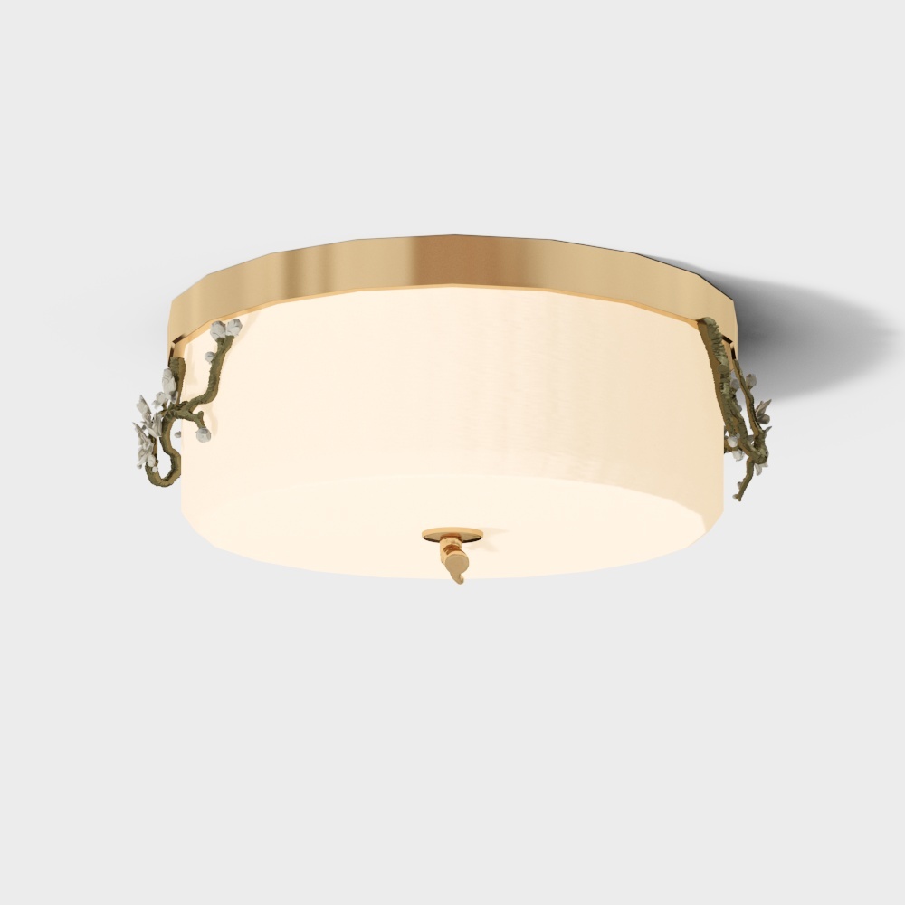 Ceiling light