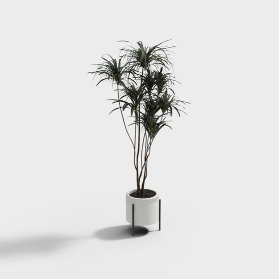 Elegant Low-Poly Plant Pot 3D model