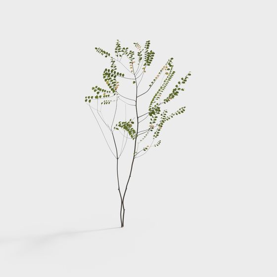 Beautiful White Tree 3D Model for Natural Settings