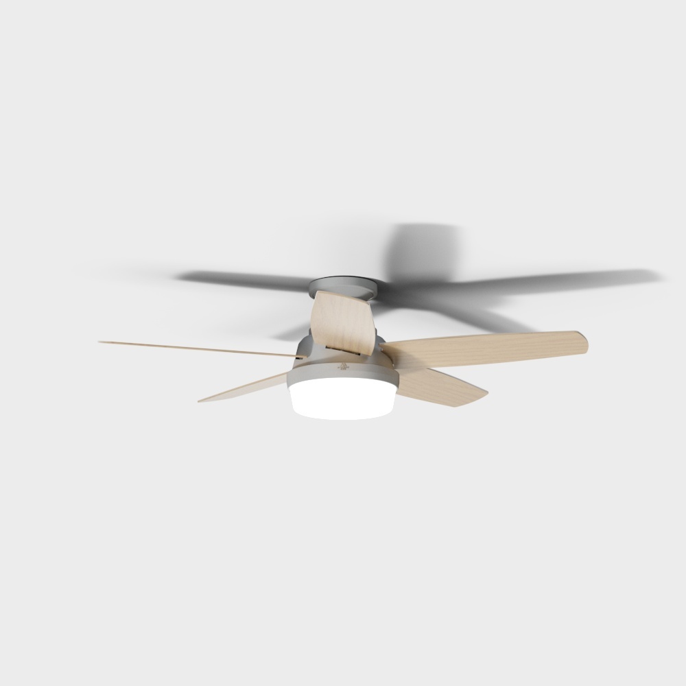 Ceiling Fan Lamp