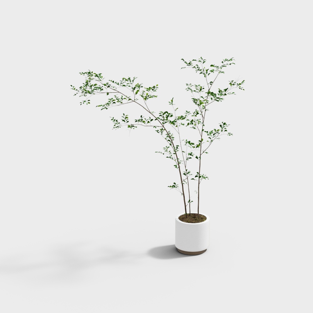 Lively Potted Plant 3D Model – Low-Poly Greenery