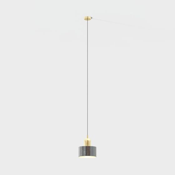 Elegant Modern Pendant Light 3D model