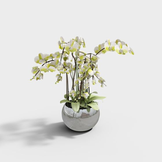 멋진 음악 공장 화분 꽃 컬렉션 189751-10