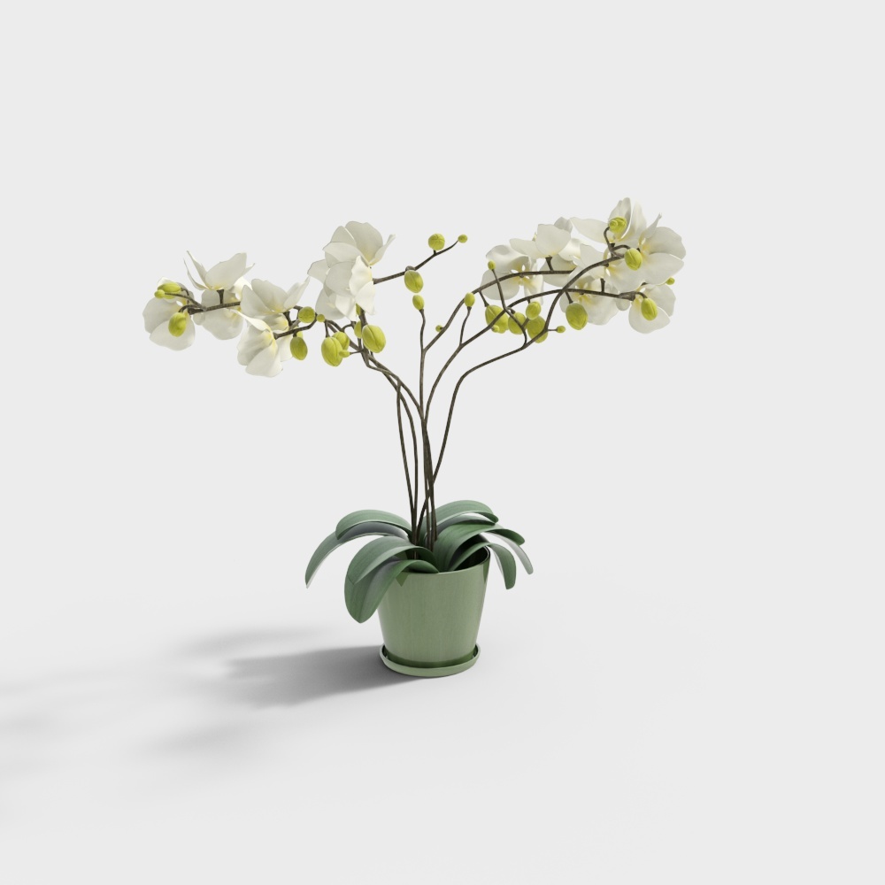 Orchid Potted Plant 3D Model – Low-Poly Natural Decor