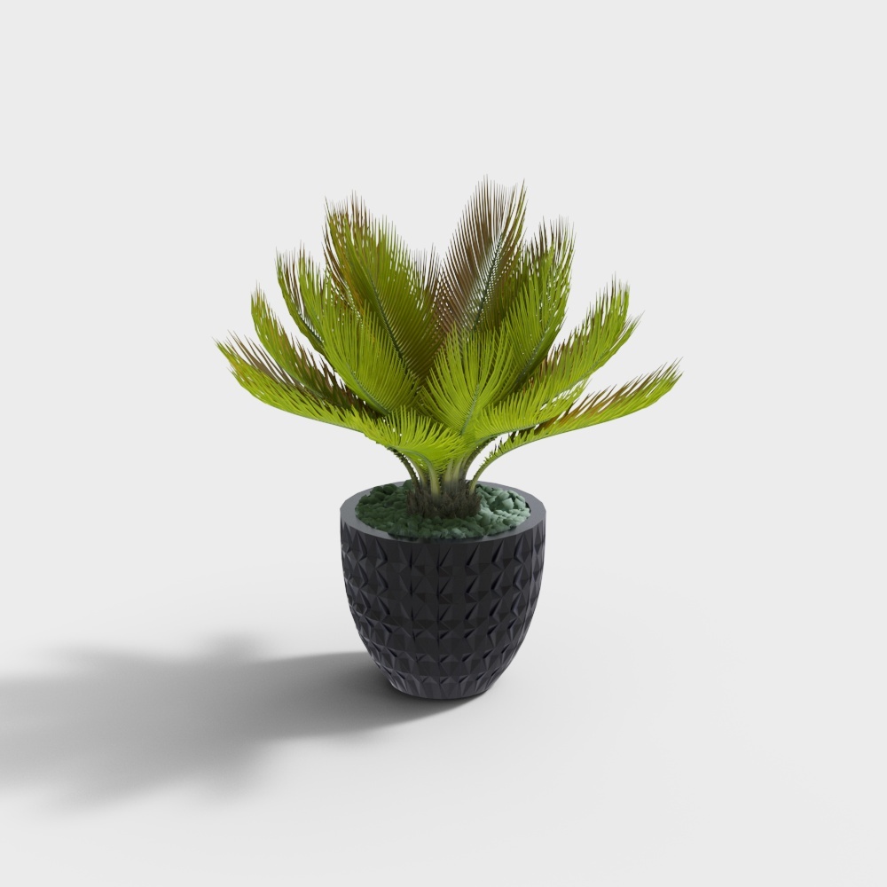 Cool Family Music - Mix di Piante Floreali in Vaso 193629-16