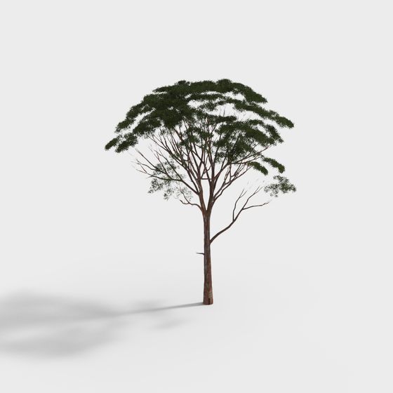 Lifelike 3D Tree Model for Creative Projects
