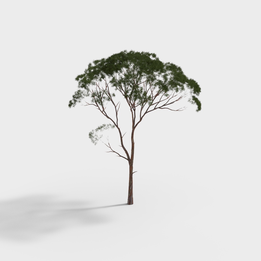 Lifelike Low-Poly 3D Tree Model