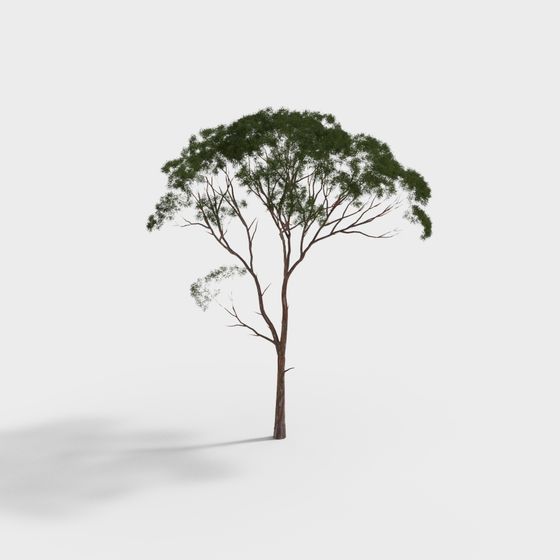 Lifelike 3D Tree Model for Creative Projects