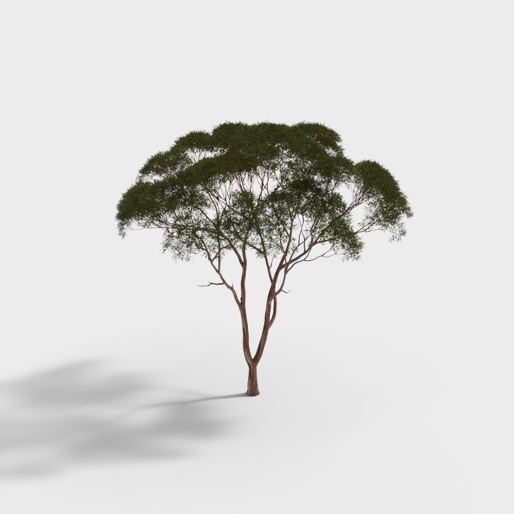 Realistic Low-Poly 3D Tree Model