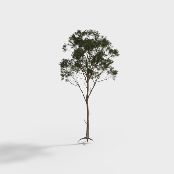 Realistic Low-Poly 3D Tree Model