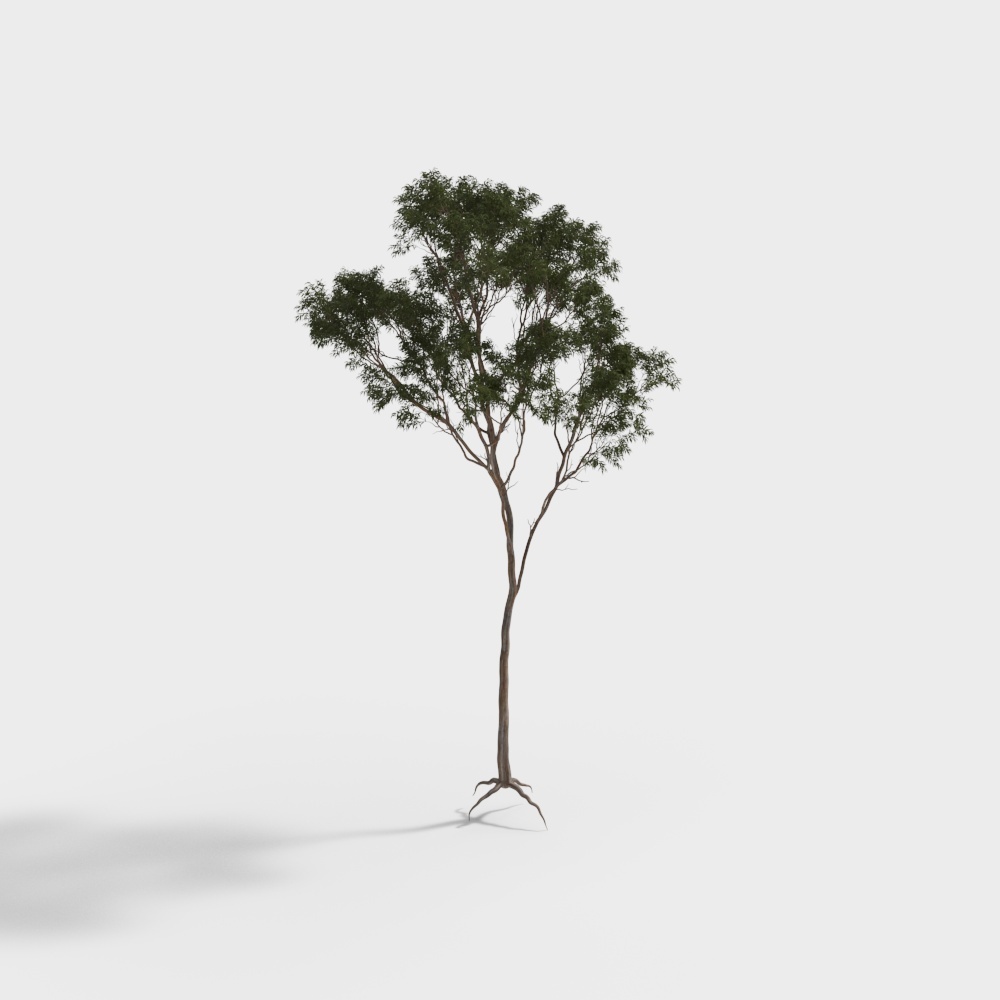 Lifelike 3D Tree Model for Creative Projects