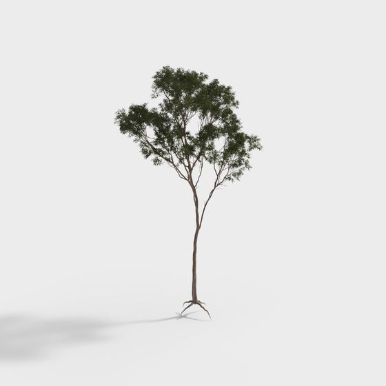 Lifelike 3D Tree Model for Creative Projects