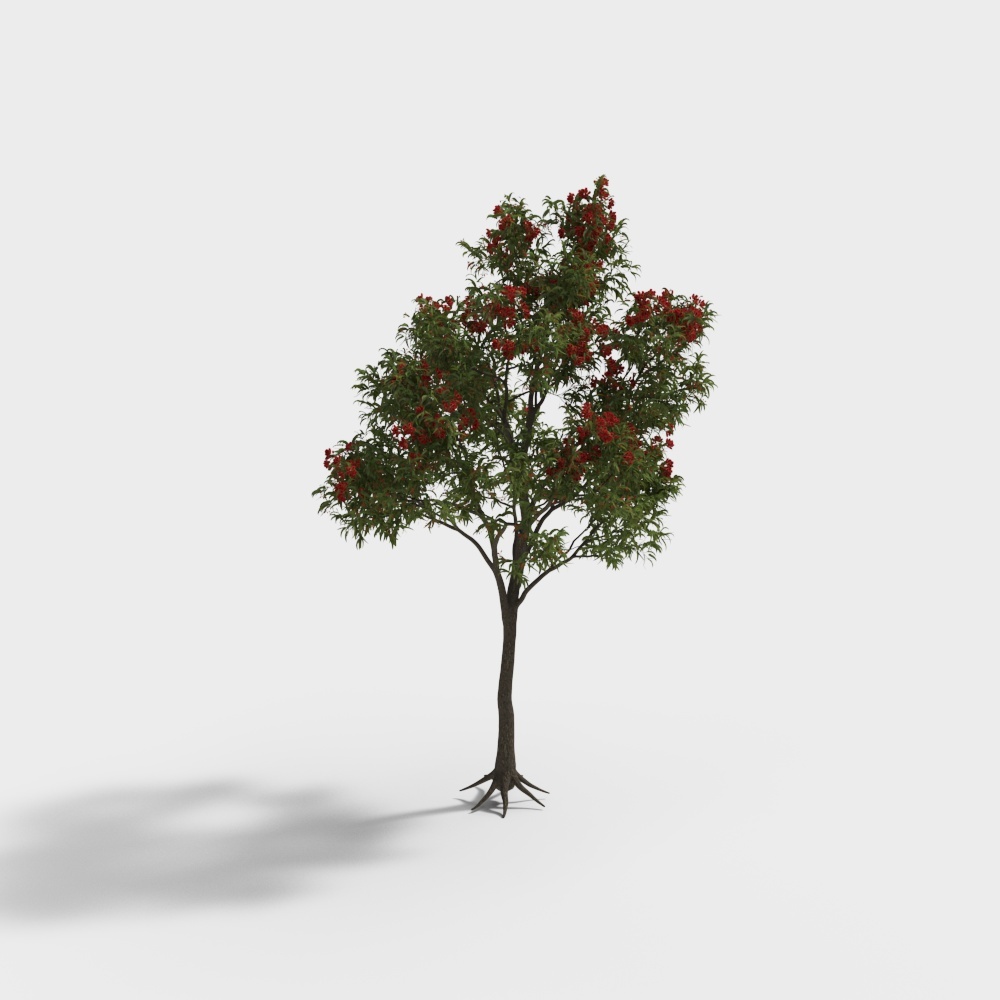 Nhà ô dù hoa nhung nhung bạch đàn 5