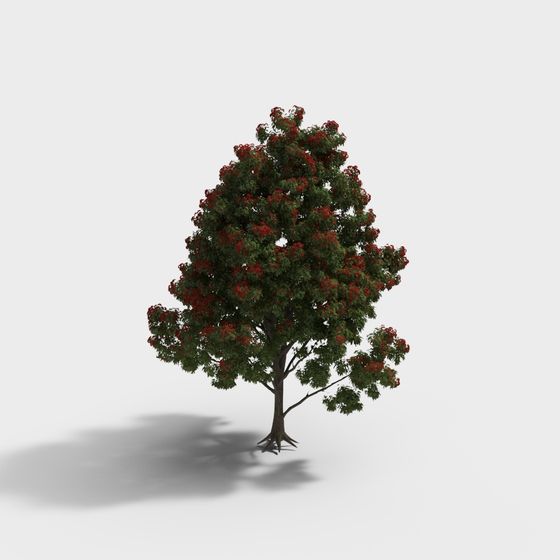 Vibrant Red Fruit Tree 3D model