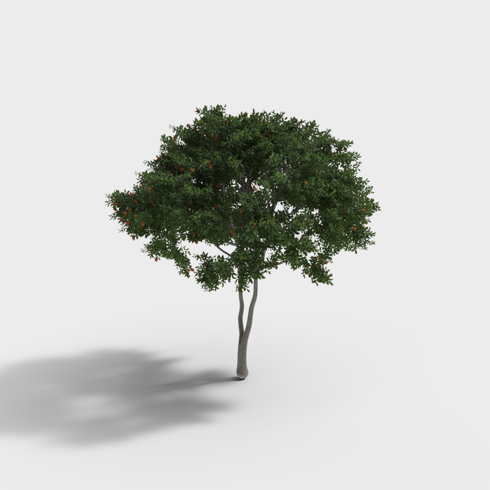 Vibrant Orange Tree 3D Model