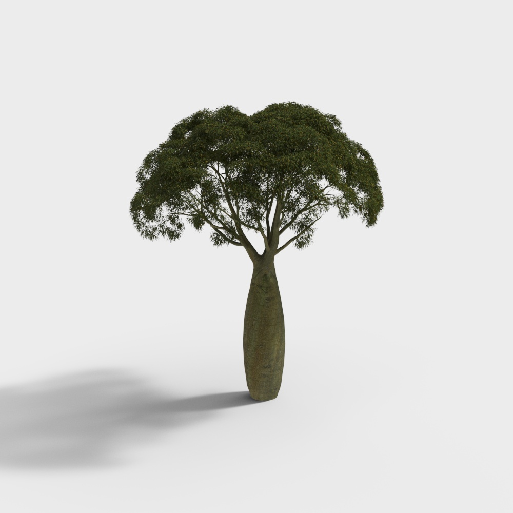 Tropical Rainforest Tree 3D Model
