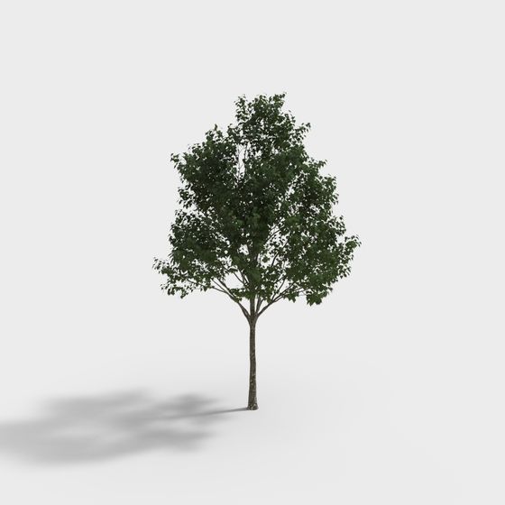 Lifelike 3D Tree Model for Creative Projects