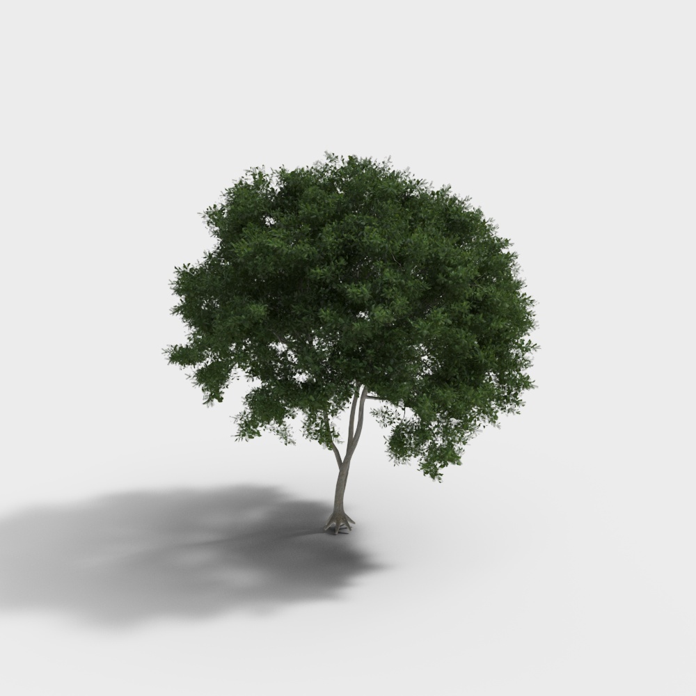 Realistic Oak Tree 3D Model