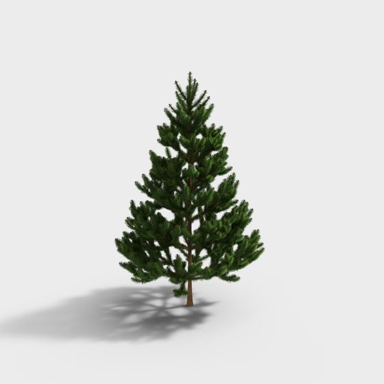 Realistic Pine Tree 3D Model Design