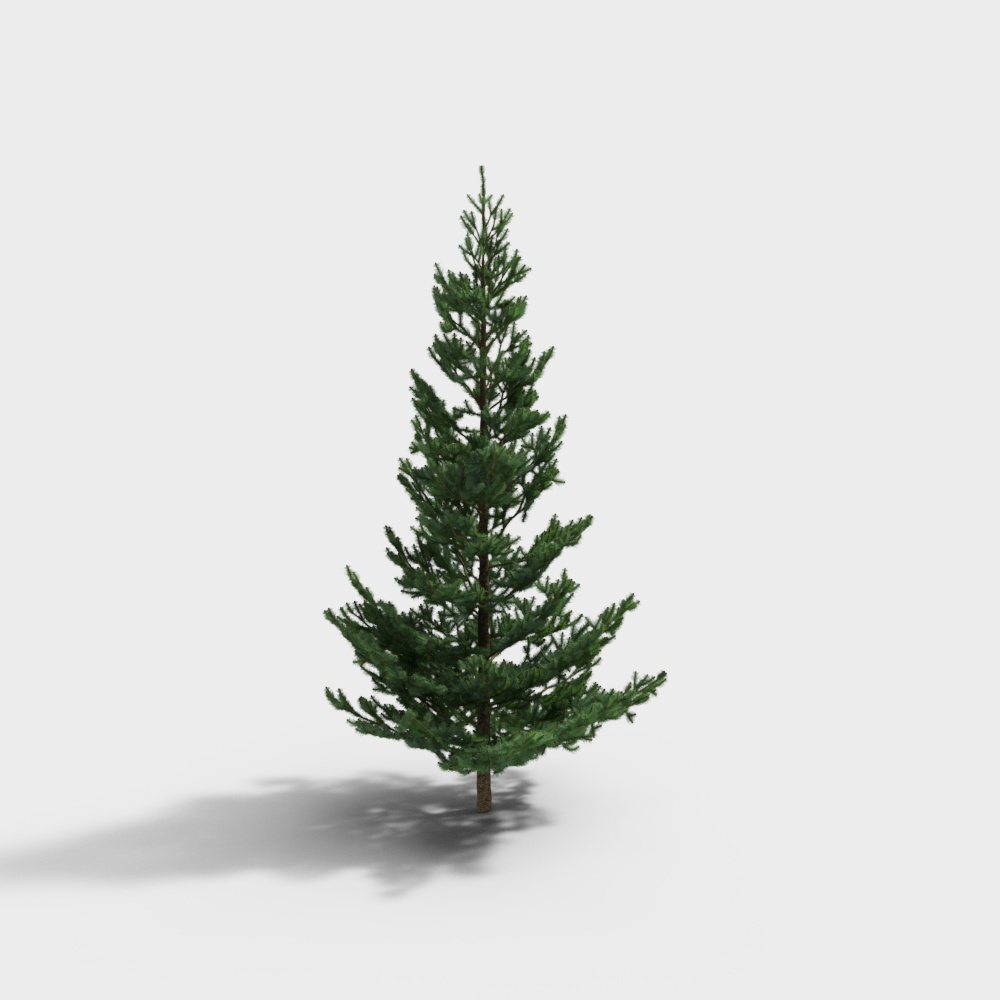 Realistic Low-Poly Pine Tree 3D model