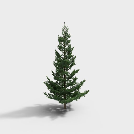 Realistic Low-Poly Pine Tree 3D model
