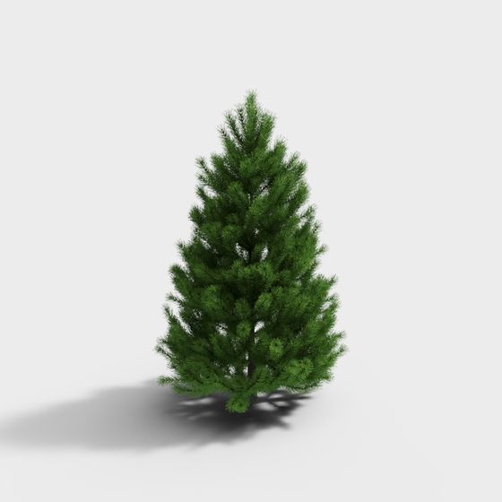 Realistic Pine Tree 3D Model for Creative Projects