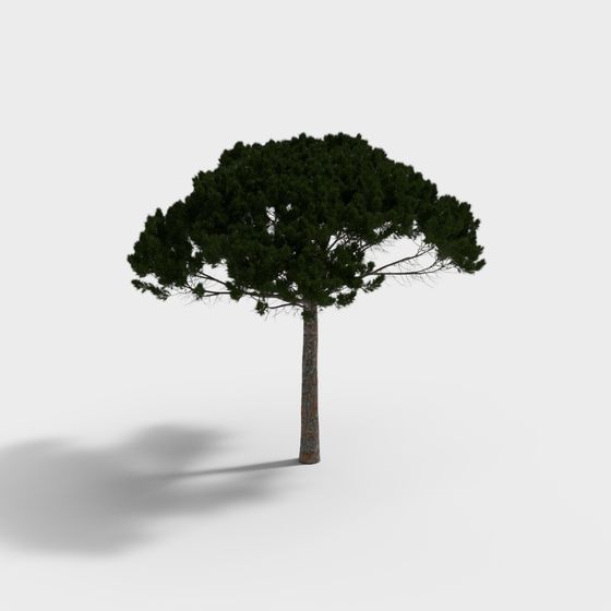 이탈리아 파인 4