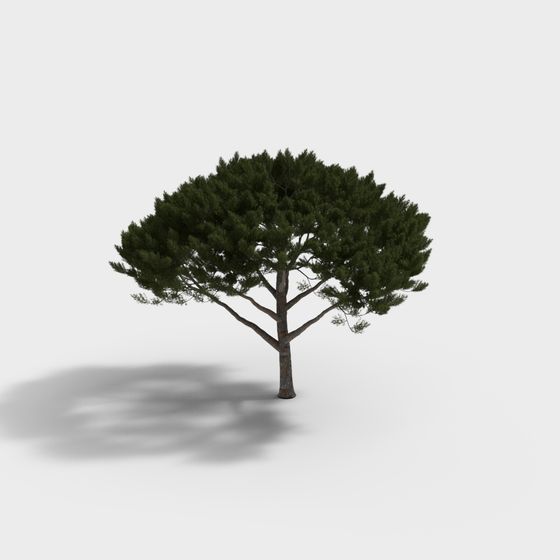 Realistic Low-Polygon Pine Tree 3D model