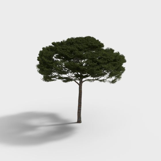 Realistic Pine Tree 3D model