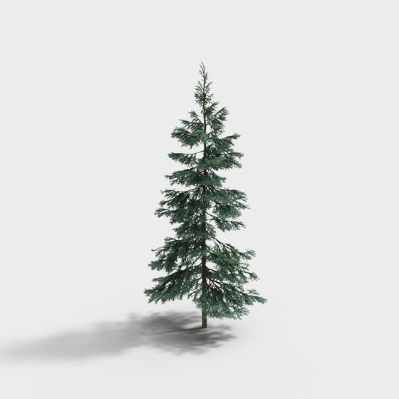 ブルースプルース3